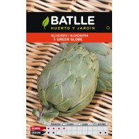 Green Globe Artichoke Planting Guide