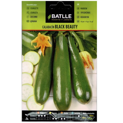 Black Beauty Zucchini Packet