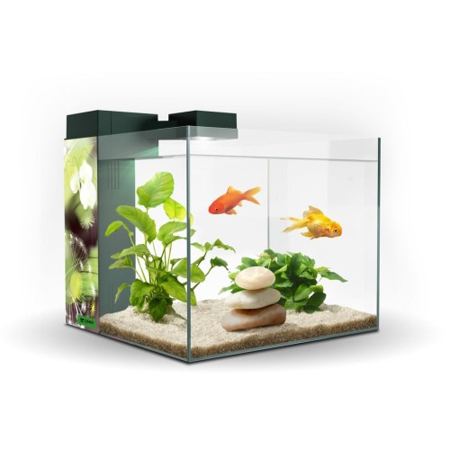 Zeneo 30 Aquatic Display Tank