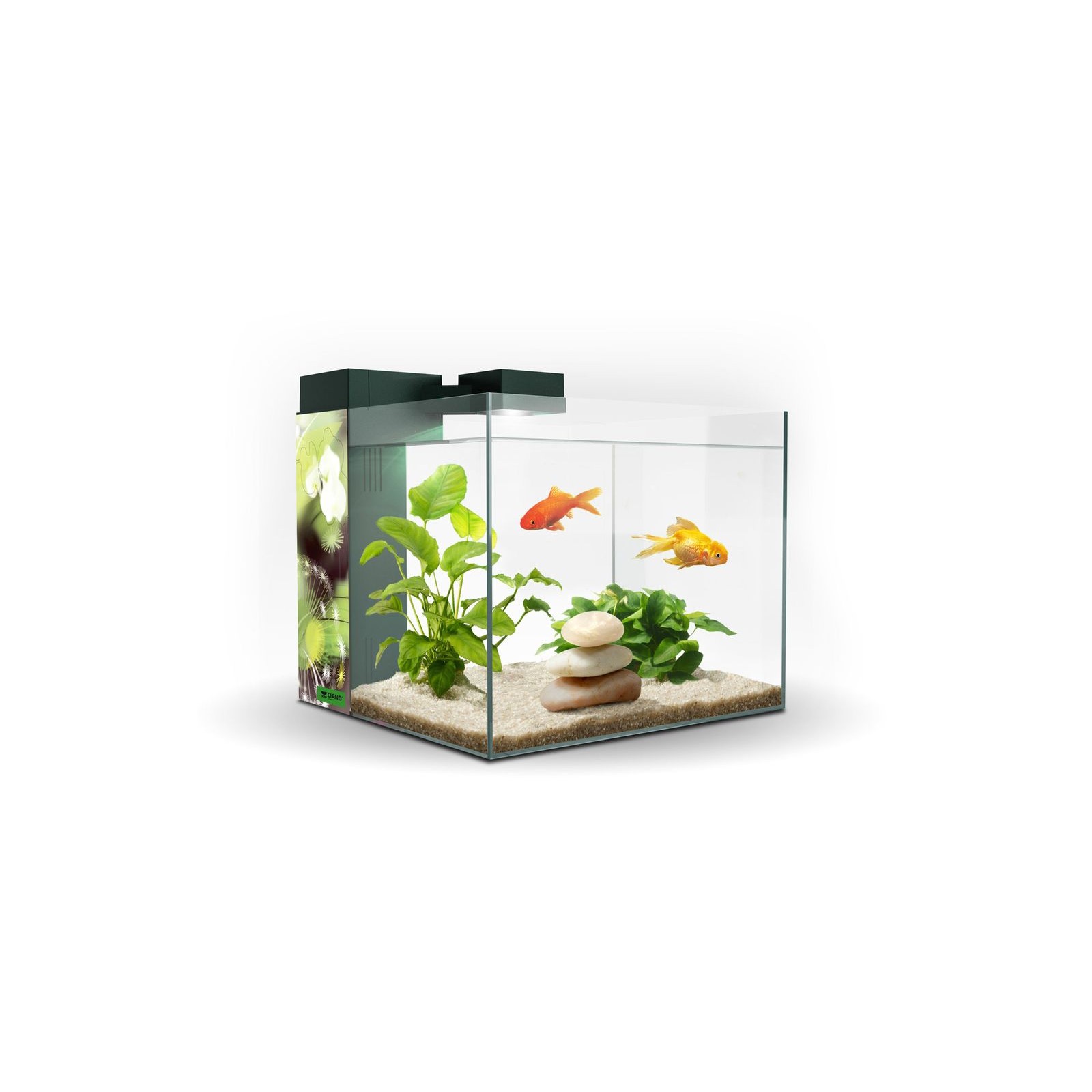 Zeneo 30 Aquatic Display Tank