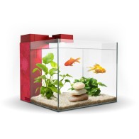 Zeneo 30 Jungle Nano Aquarium