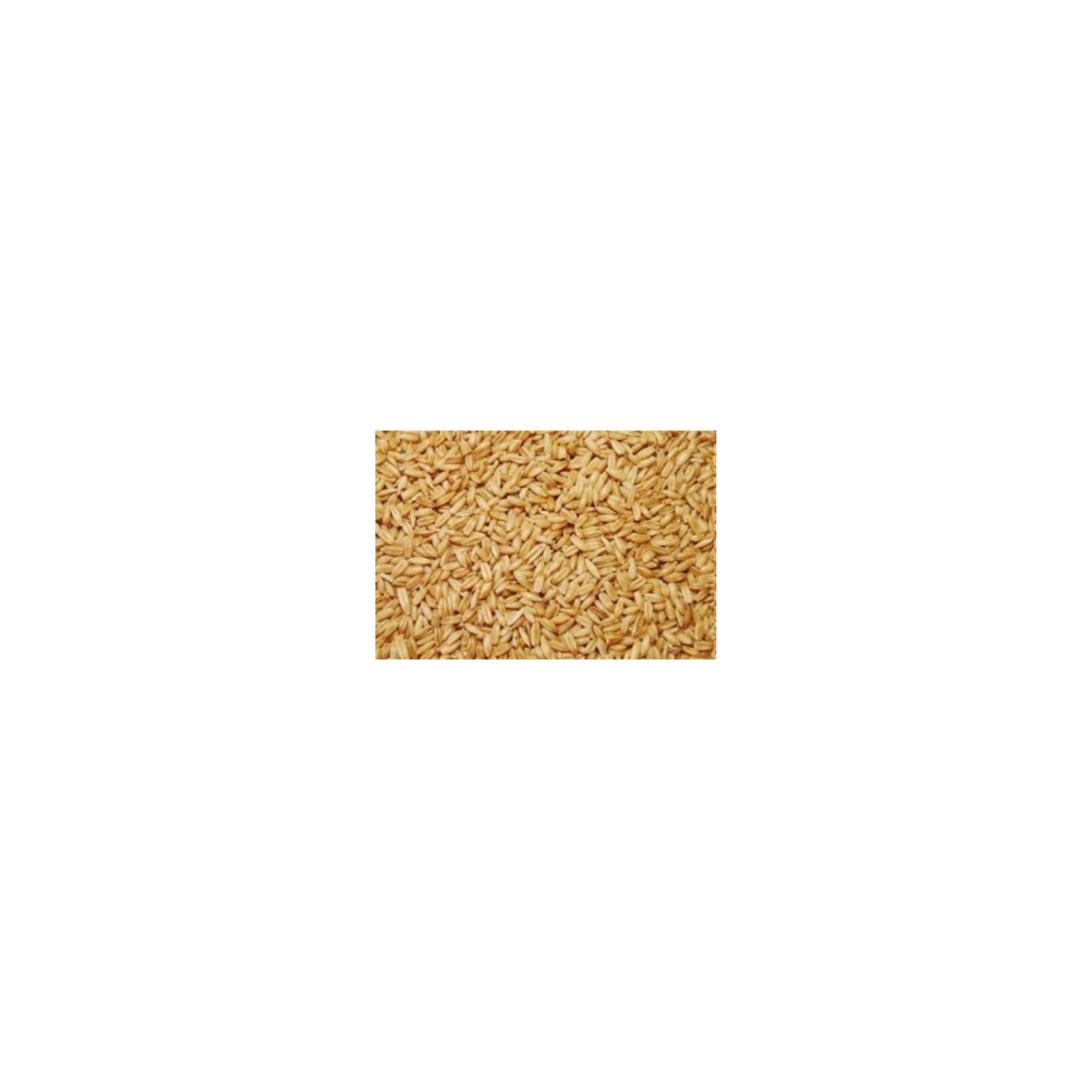 Shell-Free Vinci Oats 1 Kg