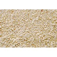 Alazor Prodac 3.5 Kg Seed Bag