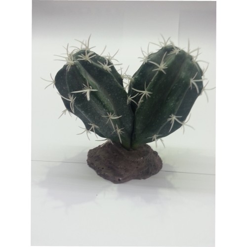 Sinai Cactus 13 Cm