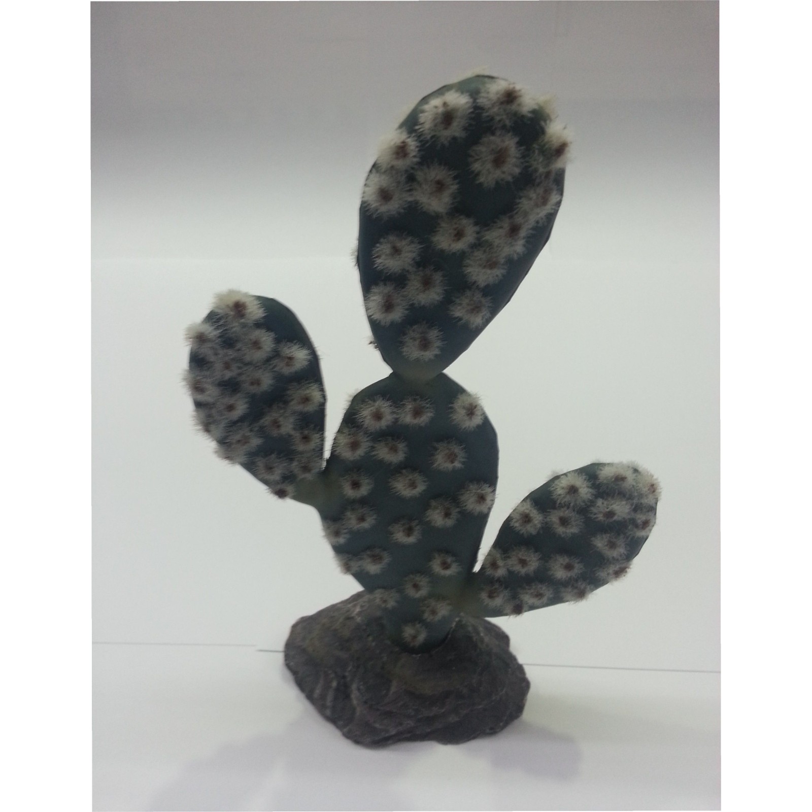 Cactus Sahara 19cm.