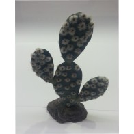 Sahara Cactus 19cm