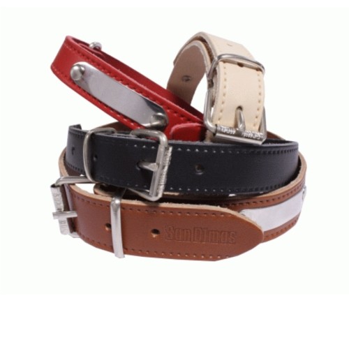 Natural Leather Collar with Plaque 20x450mm