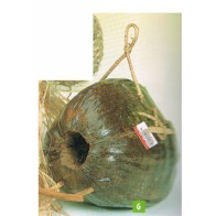 XXL Coconut Fiber Nest for Birds