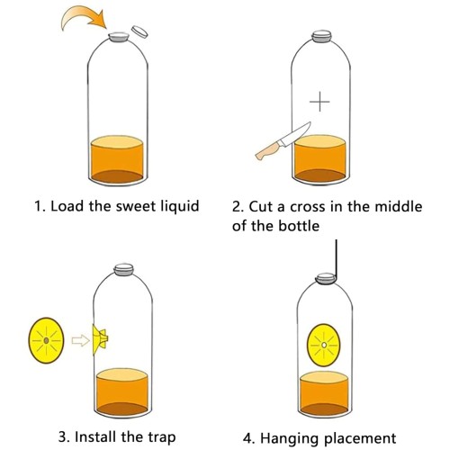 Eco-Friendly Wasp Trap Set 4 Units for Natural Pest Control