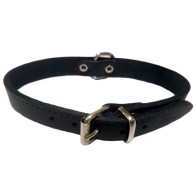 Collar de Cuero Liso Elegante para Perros - Negro 15x350mm