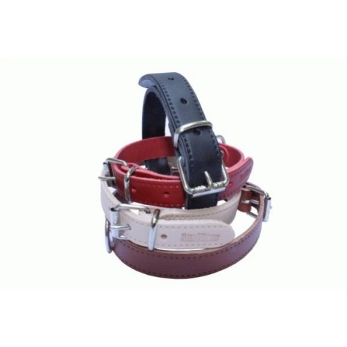 Plain Red Leather Collar 15x350mm