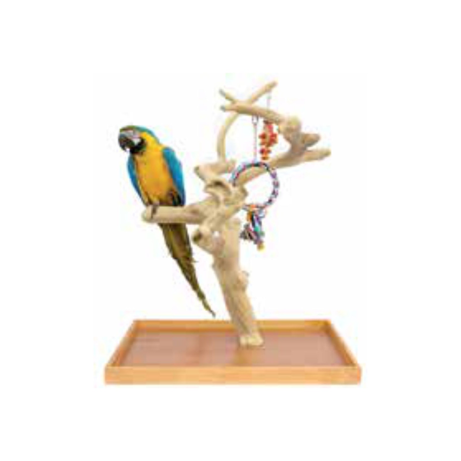 Large Mini Parrot Play Tree with Bowl