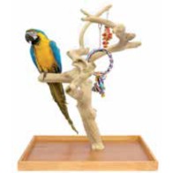 Large Mini Parrot Play Tree with Bowl