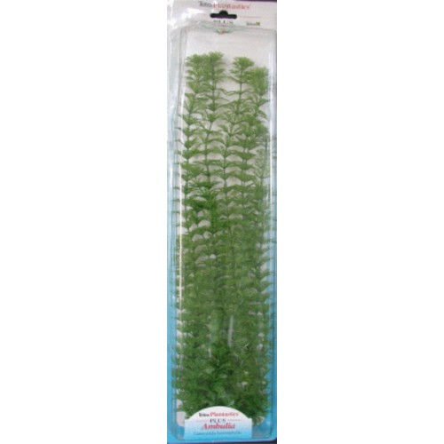 Planta Ambulia Plus 28-33cm