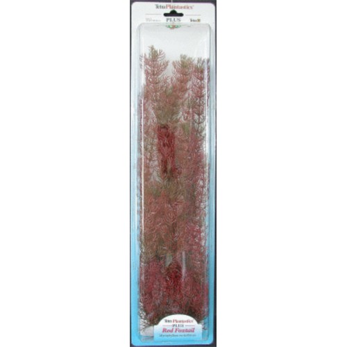 Planta Foxtail 28-33cm para Acuarios