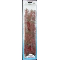 Planta Foxtail 28-33cm para Acuarios