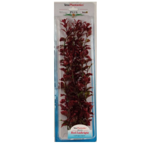 Red Luwigia Plant 35-38cm for Aquariums