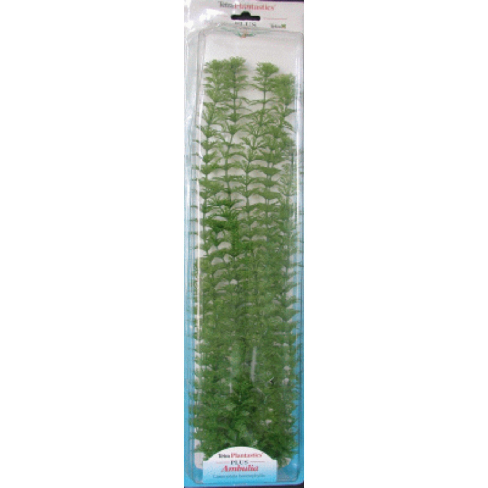 Ambulia Plus Aquatic Plant 46cm