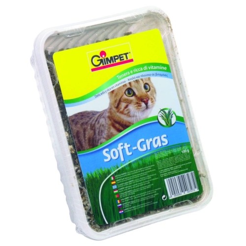 Cat Grass Aroma Meadow 150g Gimpet