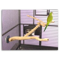 Percha Java Multibranch para Aves Pequeñas Disponible