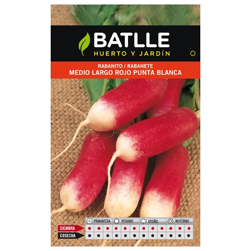 Medium Long Red Radish Seeds P. White Pack