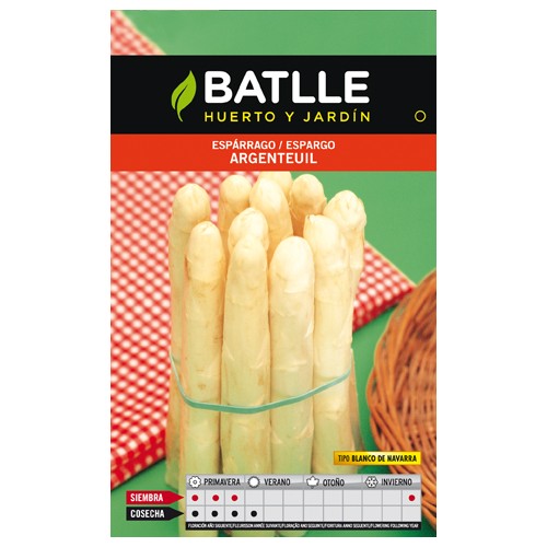 White Asparagus Argenteuil Seed