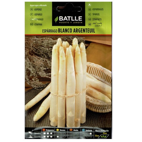 White Asparagus Argenteuil Seed