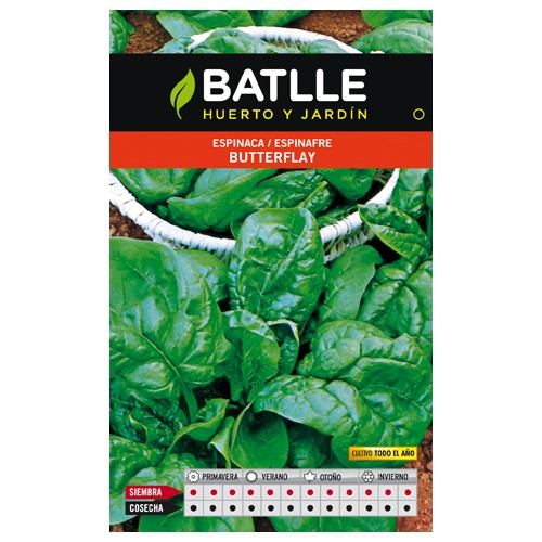 Butterfly Spinach Seeds Pack