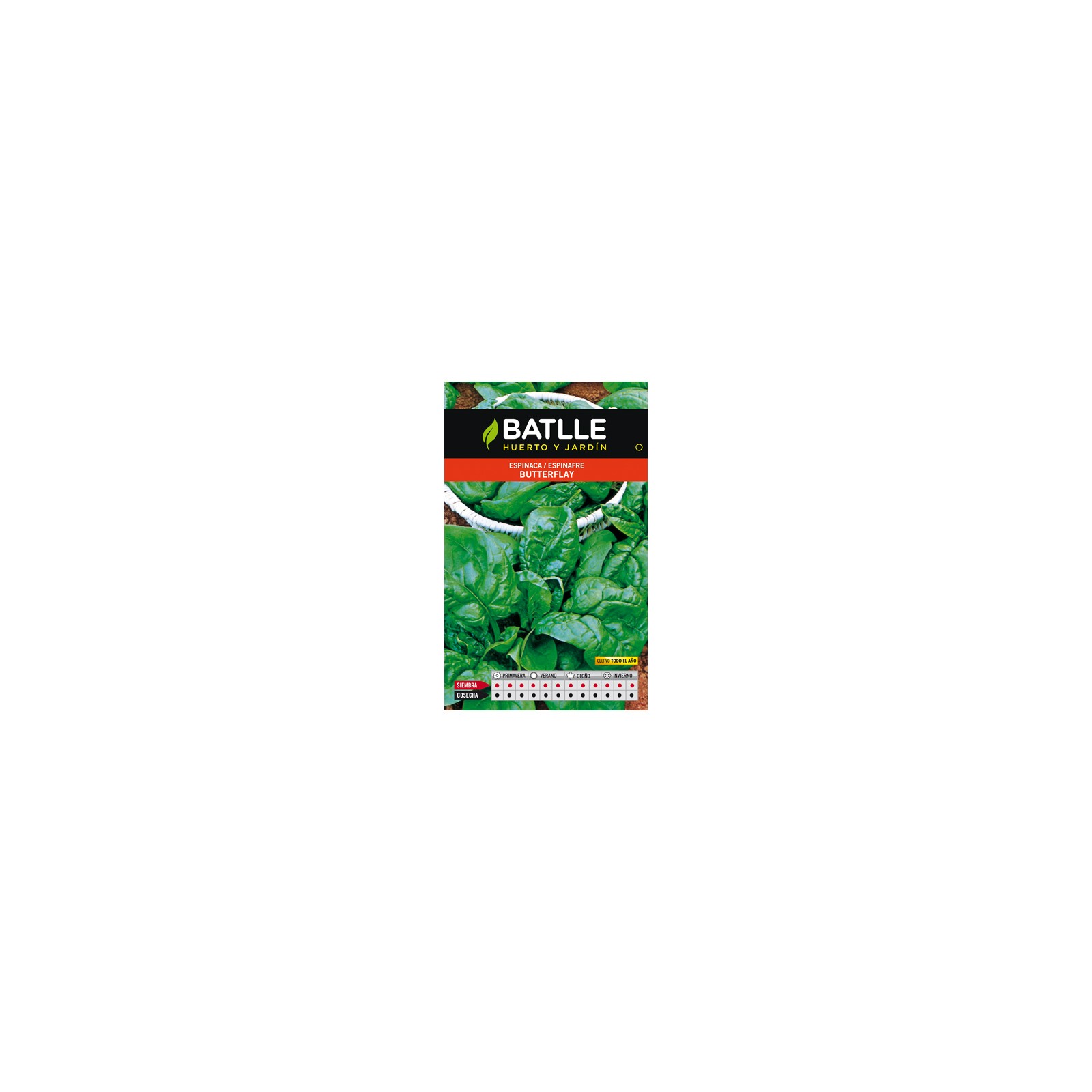 Butterfly Spinach Seeds Pack