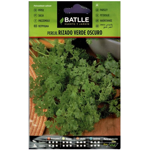 Curly Parsley Dark Green Plant