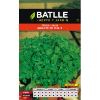 Giant Italy Parsley Seeds