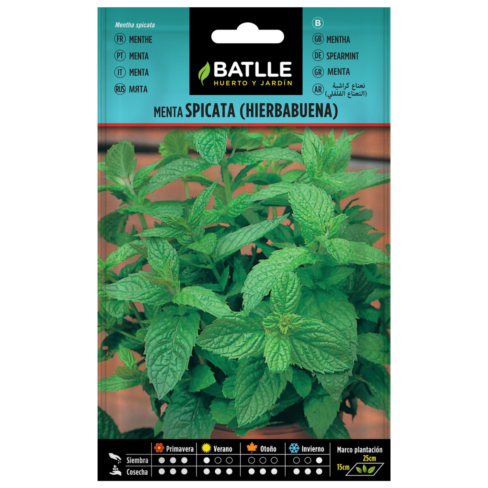 Spearmint Herb Seed Packet