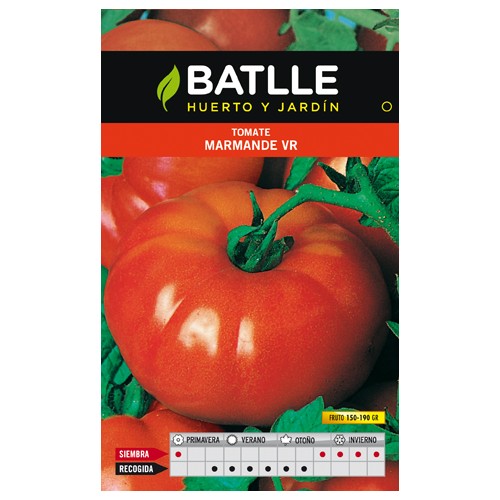 Marmande Tomato VR Holland Seeds - Premium Quality