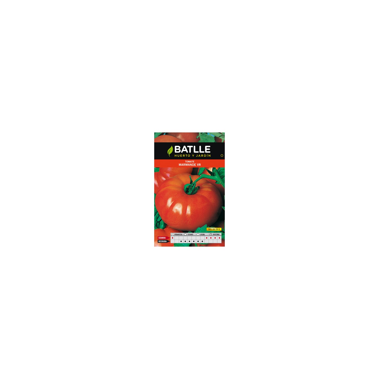 Marmande Tomato VR Holland Seeds - Premium Quality