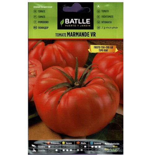 Marmande Tomato VR Holland Seeds - Premium Quality