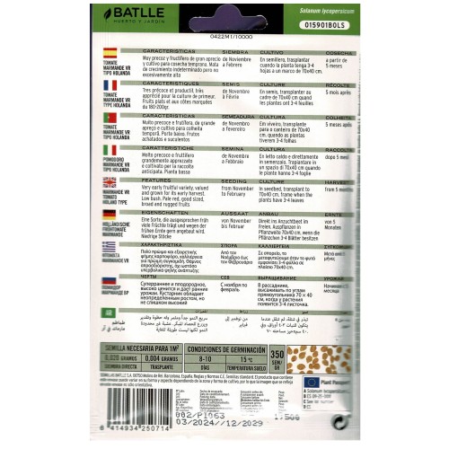 Marmande Tomato VR Holland Seeds - Premium Quality