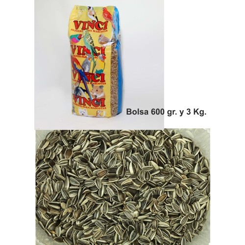 Iregui Vinci Sunflower Seeds 600g