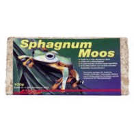 Lucky Rep Sphagnum Moss 100g