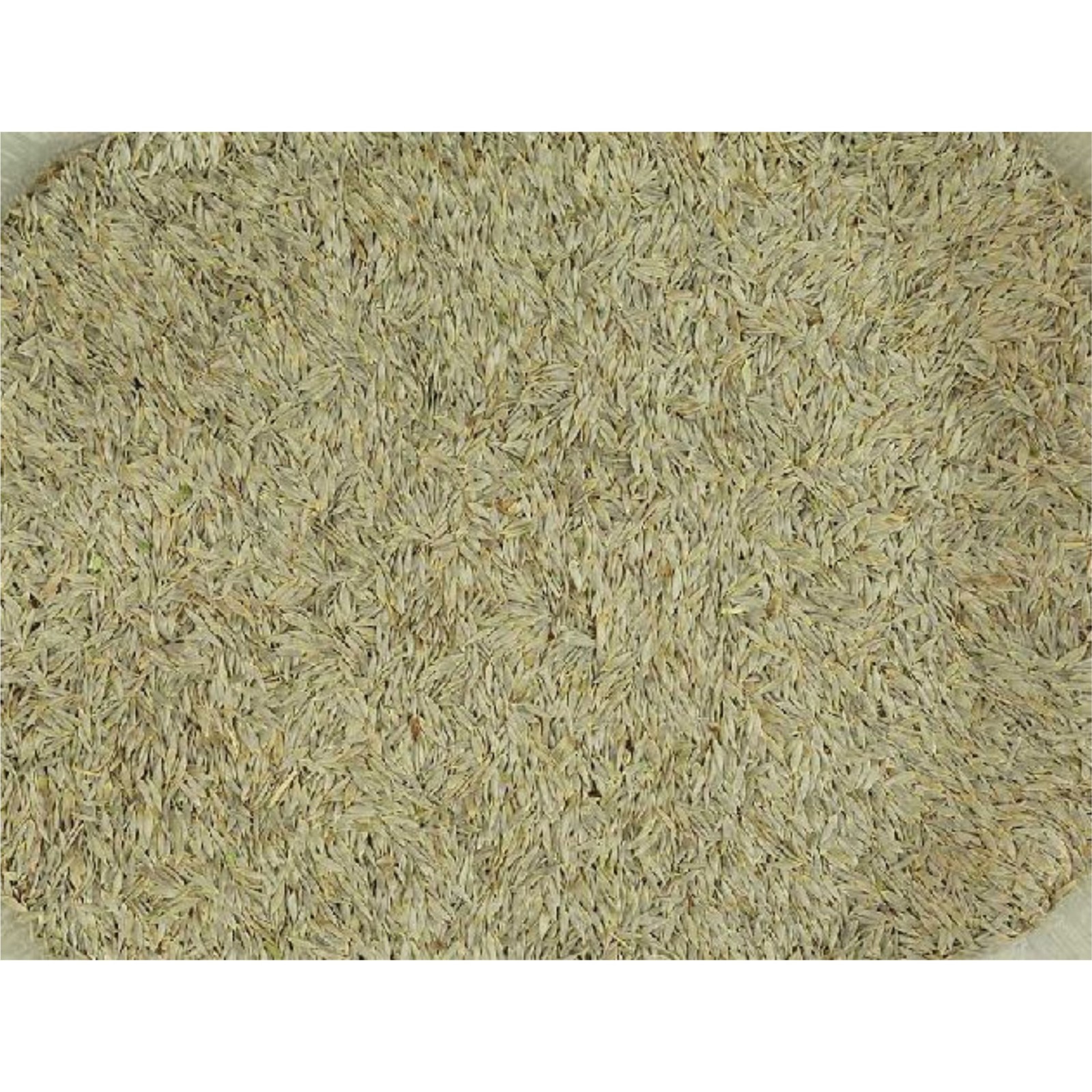 Lechuga para Aves Suplemento Nutricional 25 kg