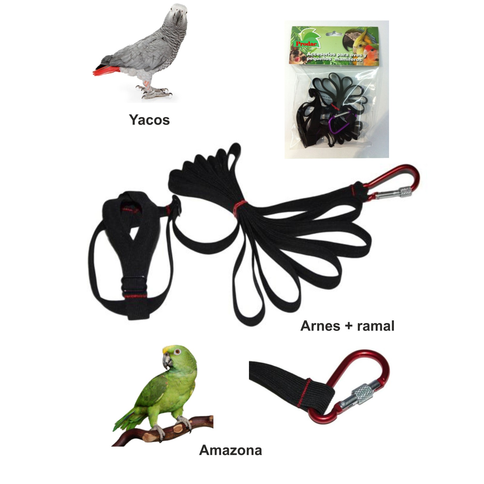 Harness for Macaws and African Grey - Safe and Comfortable