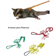 Arnés para Petauros Surtido Colores