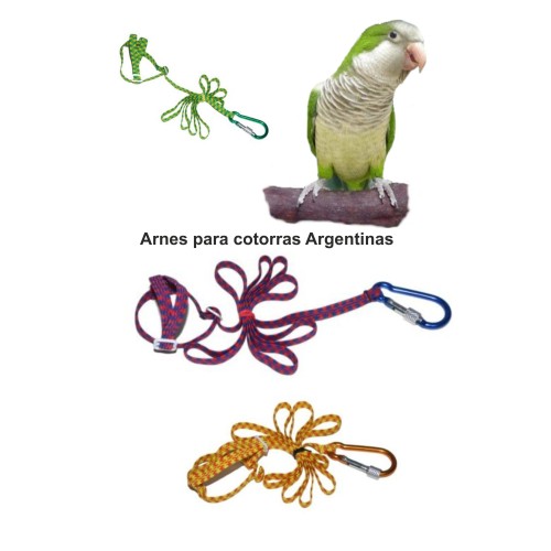 Harness for Argentine Parrots