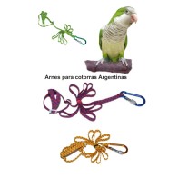 Harness for Argentine Parrots