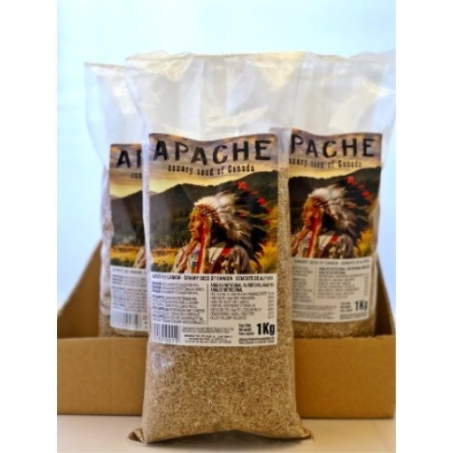 Canadian Canary Seed Apache 5 Kg