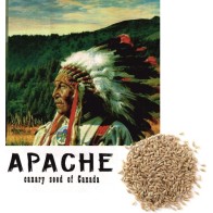 Canadian Canary Seed Apache 5 Kg