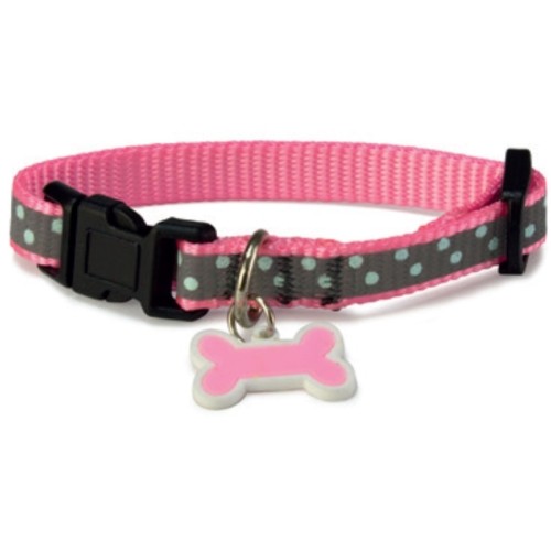 Collar Gato Reflectante Rosa 1x15/22cm