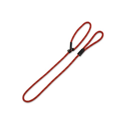 Reflective Nylon Dog Leash Red