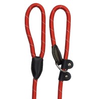 Reflective Nylon Dog Leash Red