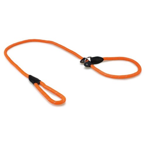 Reflective Nylon Dog Leash Red