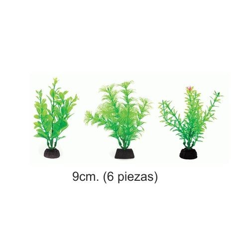 Aqua Green Plant 9cm - 6 Pieces